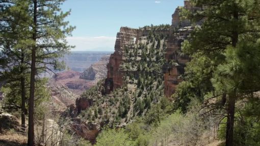 NORTH RIM OF GRAND CANYON REOPENS AFTER DEVASTATING FIRE